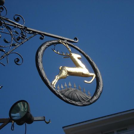 Hotel Goldener Hirsch Bayreuth Dış mekan fotoğraf